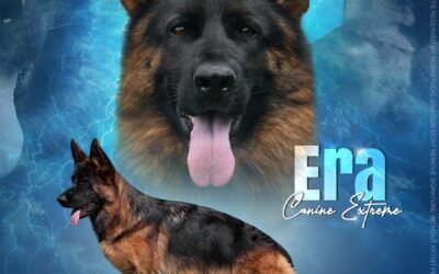 Era Canine Extreme
