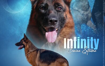 Infinity Canine Extreme