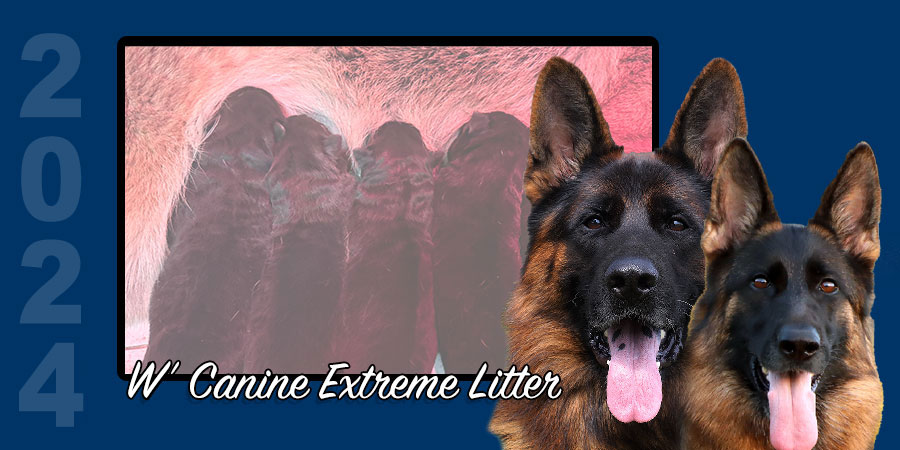 W’ Canine Extreme Litter