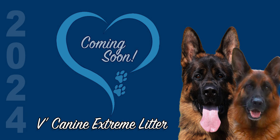 V’ Canine Extreme Litter