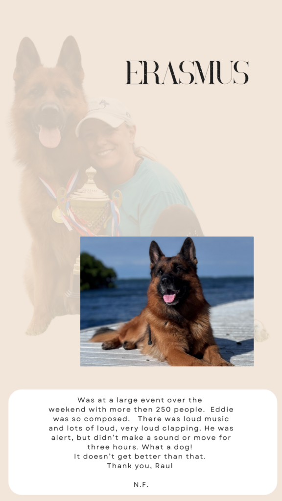 german shepherd review