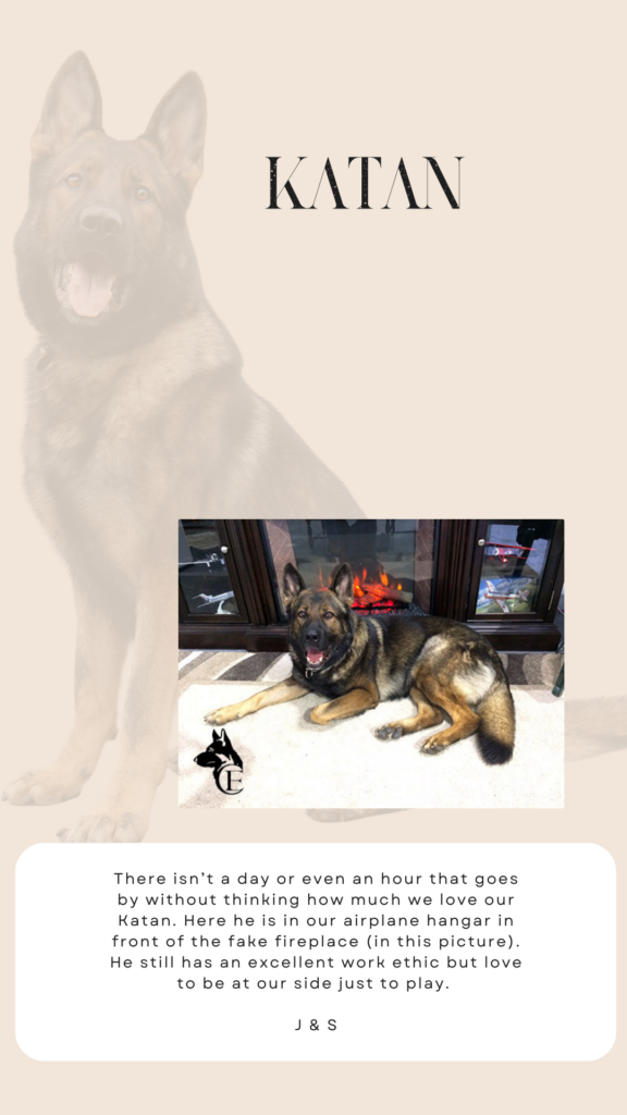 german shepherd review