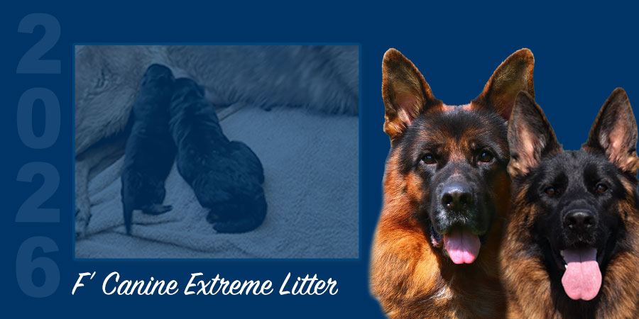 FCE26_LitterCard F' canine Extreme Litter card