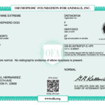 Willow_ED_OFA