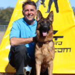 German Shepherd Female German Shepherd Female