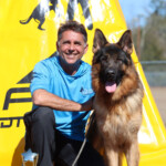 German Shepherd Male in Florida German Shepherd Male in Florida