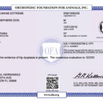 IBullock_HD_OFA