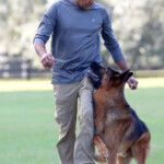 Rudi_0022