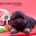 Wednesday_3wks