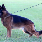 iMan_0065