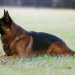 iMan_0093