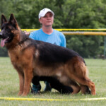 Contender_Bluegrass_20240608_00011