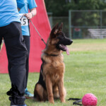 LIvely_Bluegrass_20240607_00002