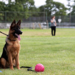 Lively_Bluegrass_20240610_00201