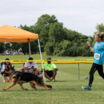 Lively_Bluegrass_20240610_00203