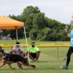 Lokie_Bluegrass_20240607_00010