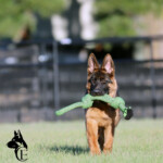Yukon_0014