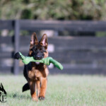 Yukon_0015