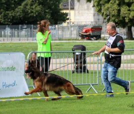 Leading Lady Canine Extreme