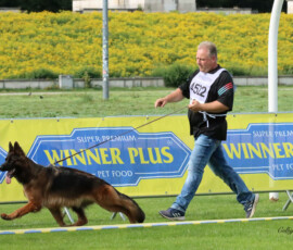 Leading Lady Canine Extreme